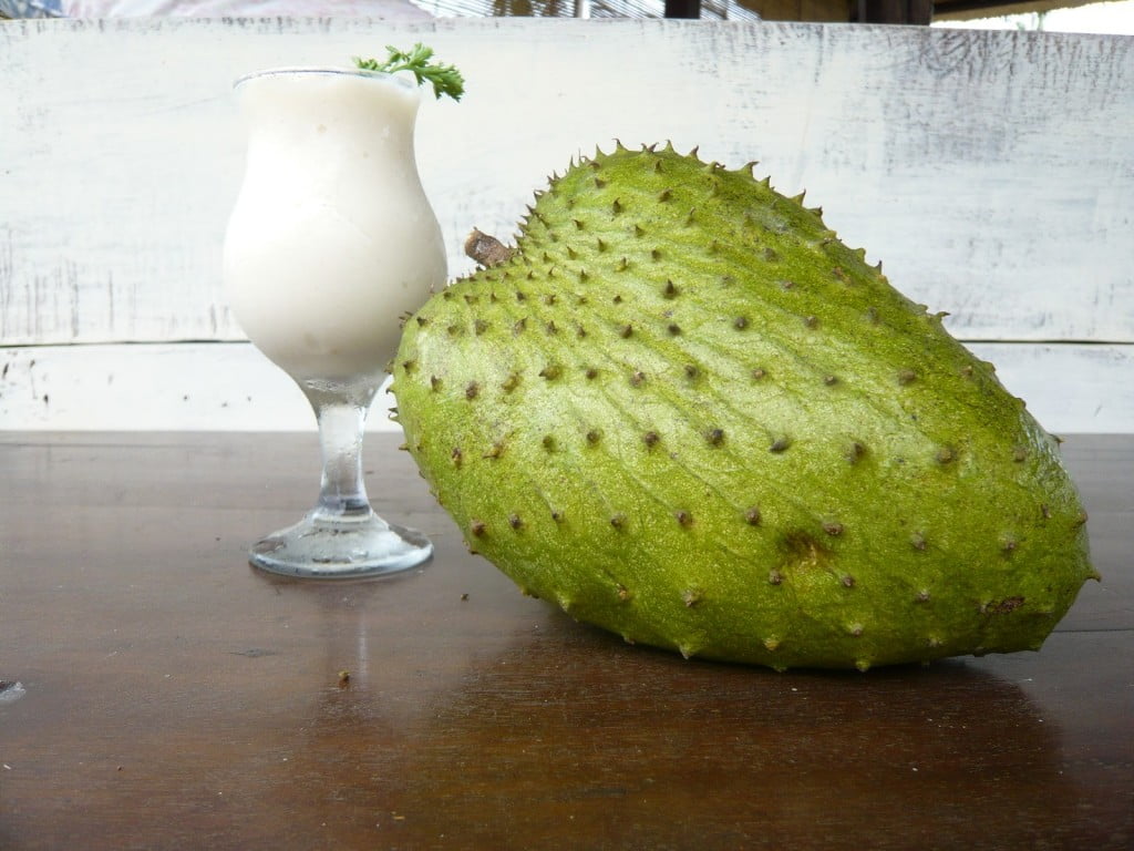 Гуанабана - плодът, който лекува всичко 3 Graviola-Cocktail3