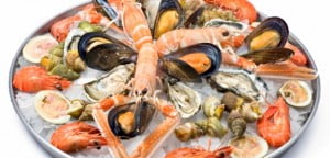 624 300 kosopad proteini dieta soia morski darove zdravina