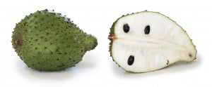 Soursop Annona muricata