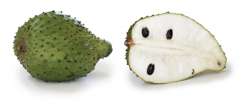 Гуанабана - плодът, който лекува всичко 1 Soursop Annona muricata