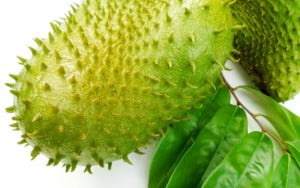 guyabano soursop