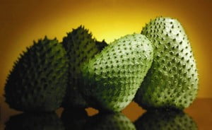 soursop