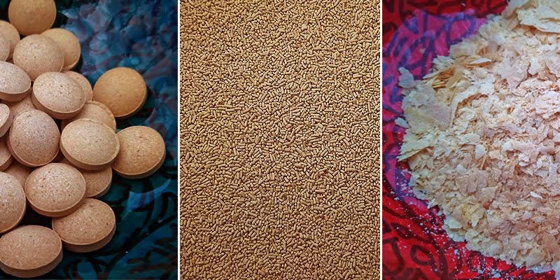 Маята - хлебна, бирена и хранителна. 5 yeast